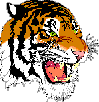 [tiger]