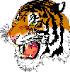 [tiger]