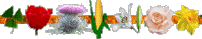[floral bar]