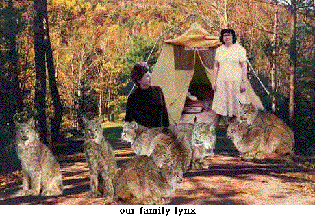 [family lynx]
